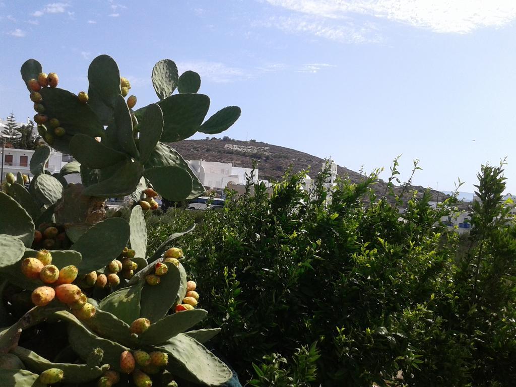 TriovasálosMatilda Milos - Cycladic Livingアパートメント エクステリア 写真