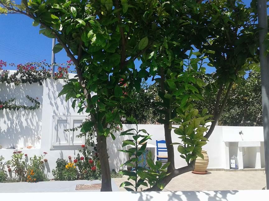 TriovasálosMatilda Milos - Cycladic Livingアパートメント エクステリア 写真