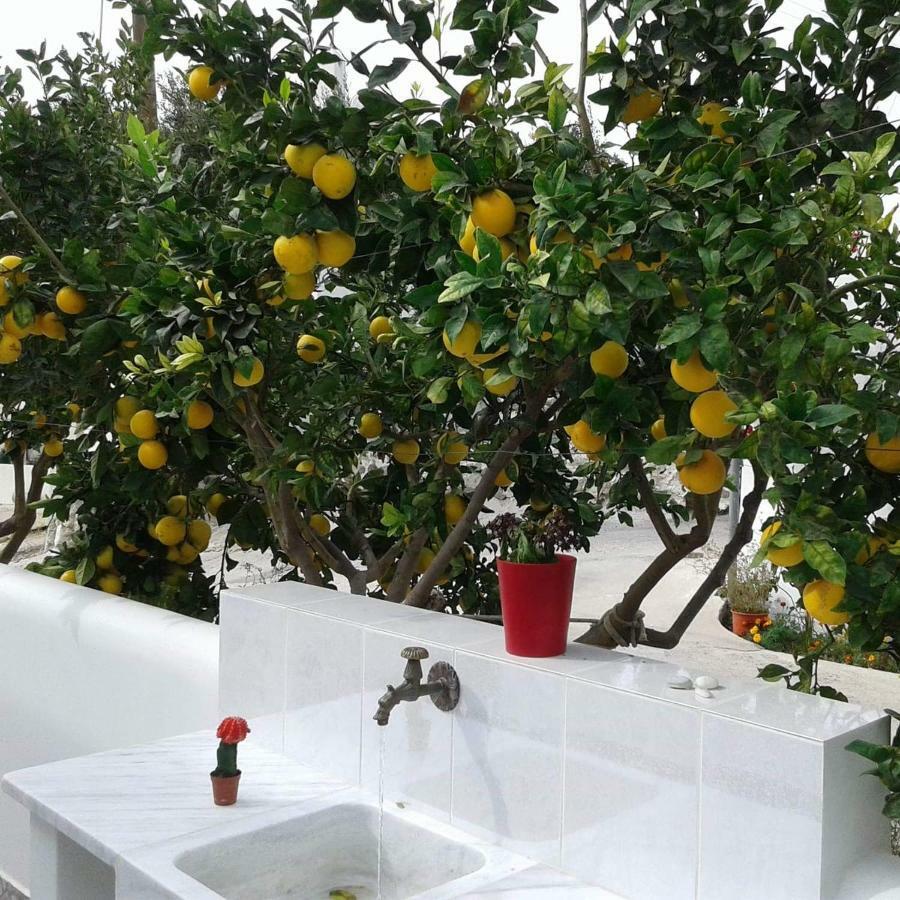 TriovasálosMatilda Milos - Cycladic Livingアパートメント エクステリア 写真